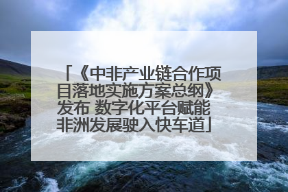 《中非产业链合作项目落地实施方案总纲》发布 数字化平台赋能非洲发展驶入快车道