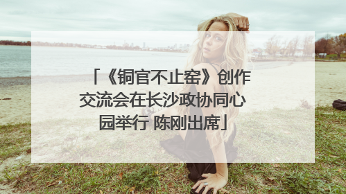 《铜官不止窑》创作交流会在长沙政协同心园举行 陈刚出席