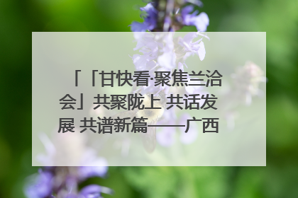「甘快看·聚焦兰洽会」共聚陇上 共话发展 共谱新篇——广西贵州重点企业“请进来”招商推介会扫描