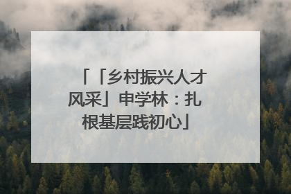 「乡村振兴人才风采」申学林：扎根基层践初心