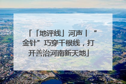 「地评线」河声丨“金针”巧穿千根线，打开善治河南新天地