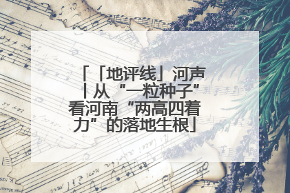 「地评线」河声丨从“一粒种子”看河南“两高四着力”的落地生根