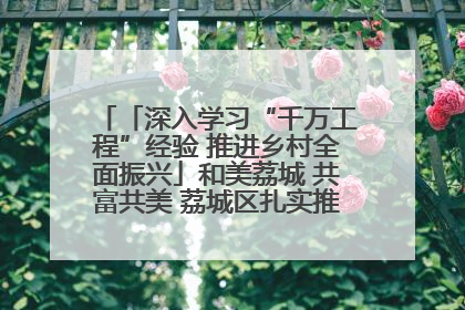 「深入学习“千万工程”经验 推进乡村全面振兴」和美荔城 共富共美 荔城区扎实推进乡村振兴工作