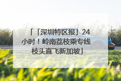 「深圳特区报」24小时！岭南荔枝乘专线 枝头直飞新加坡