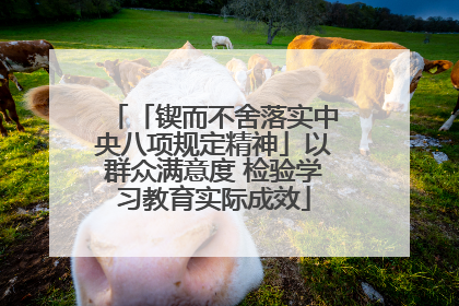 「锲而不舍落实中央八项规定精神」以群众满意度 检验学习教育实际成效