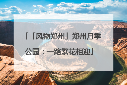 「风物郑州」郑州月季公园：一路繁花相迎
