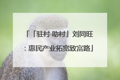「驻村·助村」刘同旺：惠民产业拓宽致富路