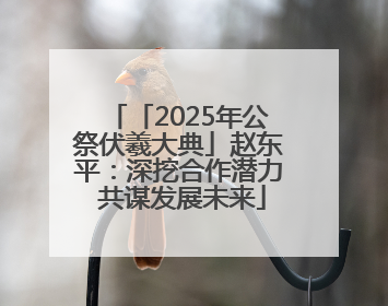 「2025年公祭伏羲大典」赵东平：深挖合作潜力 共谋发展未来