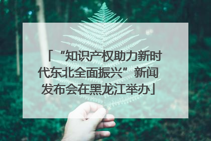 “知识产权助力新时代东北全面振兴”新闻发布会在黑龙江举办