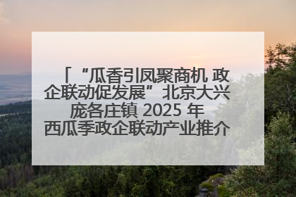 “瓜香引凤聚商机 政企联动促发展”北京大兴庞各庄镇 2025 年西瓜季政企联动产业推介活动圆满举行