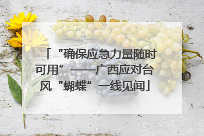 “确保应急力量随时可用”——广西应对台风“蝴蝶”一线见闻