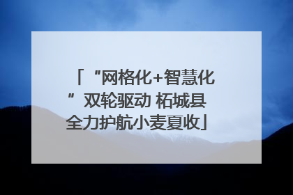 “网格化+智慧化”双轮驱动 柘城县全力护航小麦夏收
