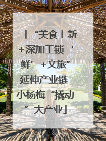 “美食上新+深加工锁‘鲜’+文旅”延伸产业链 小杨梅“撬动”大产业