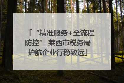“精准服务+全流程防控” 莱西市税务局护航企业行稳致远