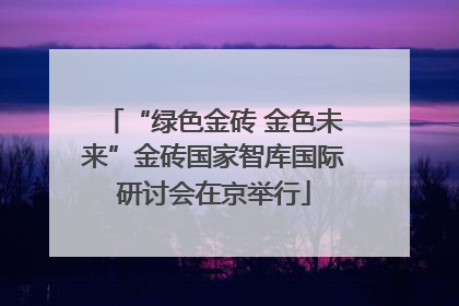 “绿色金砖 金色未来”金砖国家智库国际研讨会在京举行
