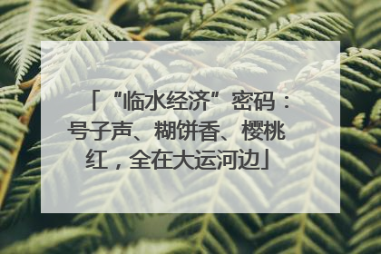 “临水经济”密码：号子声、糊饼香、樱桃红，全在大运河边