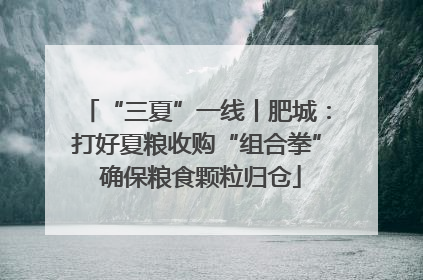 “三夏”一线丨肥城：打好夏粮收购“组合拳” 确保粮食颗粒归仓