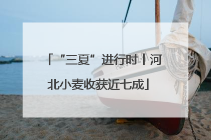 “三夏”进行时丨河北小麦收获近七成
