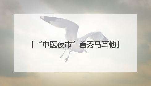 “中医夜市”首秀马耳他