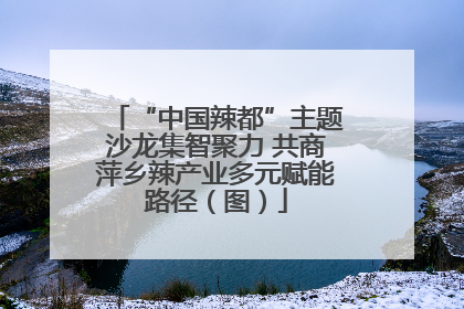 “中国辣都”主题沙龙集智聚力 共商萍乡辣产业多元赋能路径（图）