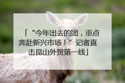 “今年出去的团，重点奔赴新兴市场！”记者直击昆山外贸第一线