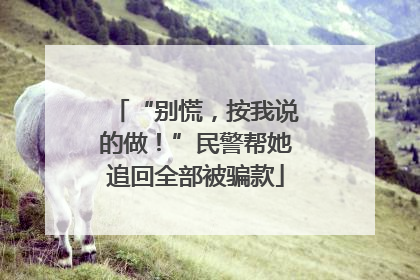 “别慌，按我说的做！”民警帮她追回全部被骗款
