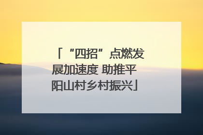 “四招”点燃发展加速度 助推平阳山村乡村振兴