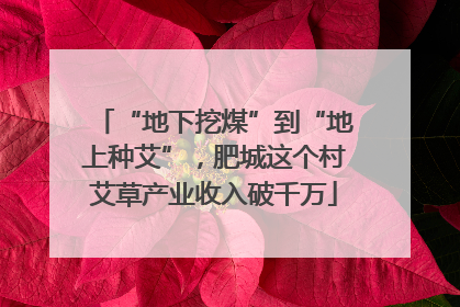 “地下挖煤”到“地上种艾”，肥城这个村艾草产业收入破千万