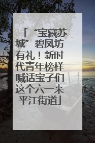 “宝藏苏城”碧凤坊有礼！新时代青年榜样喊话宝子们这个六一来平江街道