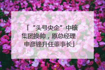 “头号央企”中核集团换帅，原总经理申彦锋升任董事长