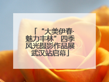 “大美伊春·魅力丰林”四季风光摄影作品展武汉站启幕
