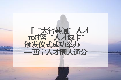 “大智荟通”人才π对暨“人才绿卡”颁发仪式成功举办——西宁人才周大通分会场亮点纷呈
