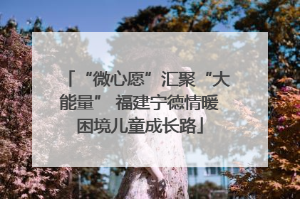 “微心愿”汇聚“大能量” 福建宁德情暖困境儿童成长路
