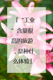 “工业”含量很高的旅游，是种什么体验