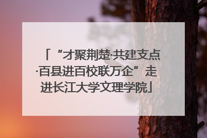 “才聚荆楚·共建支点·百县进百校联万企”走进长江大学文理学院