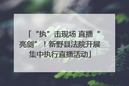 “执”击现场 直播“亮剑”！新野县法院开展集中执行直播活动