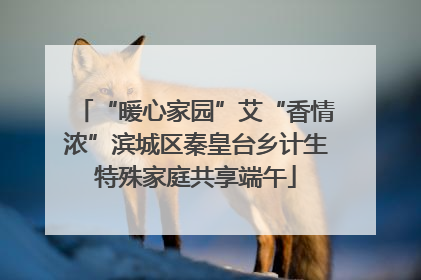 “暖心家园”艾“香情浓”滨城区秦皇台乡计生特殊家庭共享端午