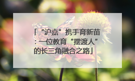 “沪嘉”携手育新苗：一位教育“摆渡人”的长三角融合之路