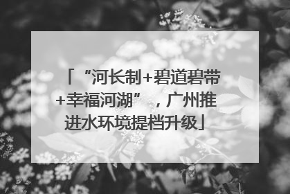 “河长制+碧道碧带+幸福河湖”，广州推进水环境提档升级
