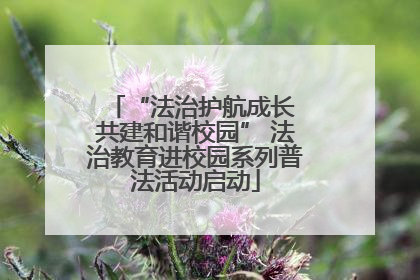 “法治护航成长 共建和谐校园” 法治教育进校园系列普法活动启动