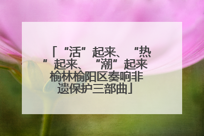 “活”起来、“热”起来、“潮”起来 榆林榆阳区奏响非遗保护三部曲