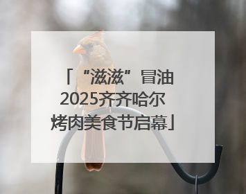 “滋滋”冒油 2025齐齐哈尔烤肉美食节启幕