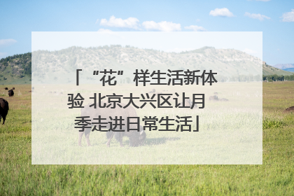 “花”样生活新体验 北京大兴区让月季走进日常生活