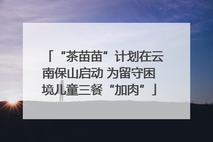 “茶苗苗”计划在云南保山启动 为留守困境儿童三餐“加肉”