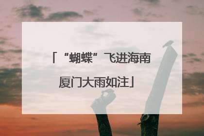 “蝴蝶”飞进海南 厦门大雨如注