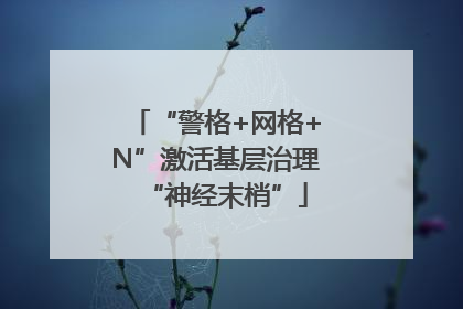 “警格+网格+N”激活基层治理“神经末梢”