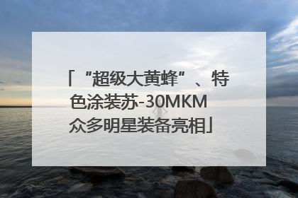 “超级大黄蜂”、特色涂装苏-30MKM 众多明星装备亮相