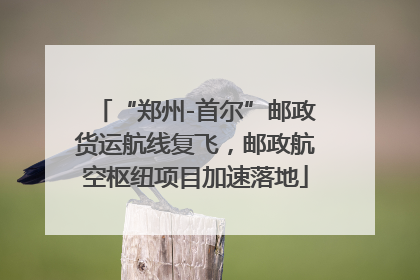 “郑州-首尔”邮政货运航线复飞，邮政航空枢纽项目加速落地