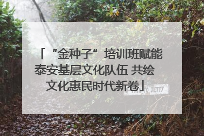 “金种子”培训班赋能泰安基层文化队伍 共绘文化惠民时代新卷