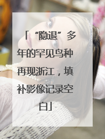 “隐退”多年的罕见鸟种再现浙江，填补影像记录空白